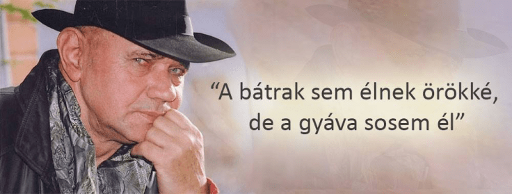 10854980_462806043868225_6047998474706884580_o