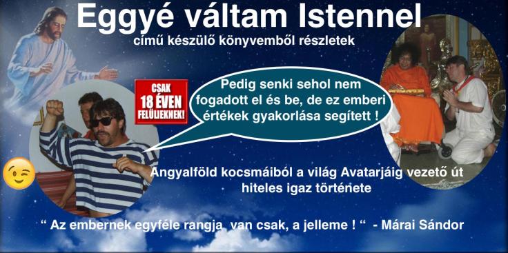 14231269_1061589723948536_179027949280422377_o