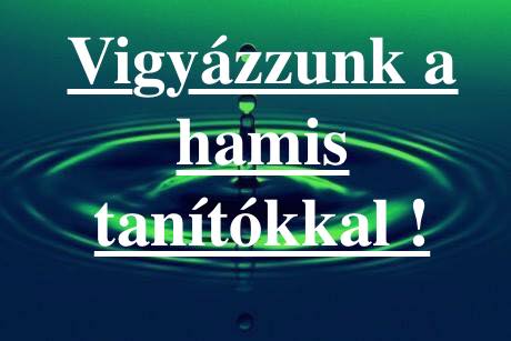 51337418_2295087227482673_1444062812023291904_n