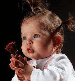 557643_483209181723113_2123097342_n