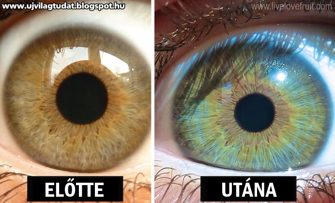 szem szín változás írisz diagnosztika iridológia egészség betegség szervezet méreg méregtelenítés túlsúly fogyás fogyókúra vegán vegetáriánus étkezés étrend video könyv-2016-új világtudat