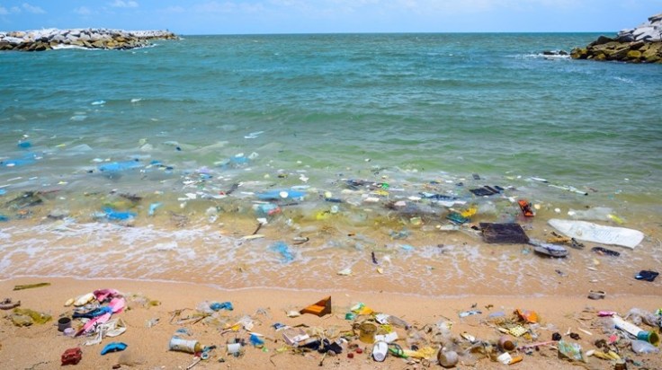 5431E0AD-6432-48FF-AF88-3CF9A6834099